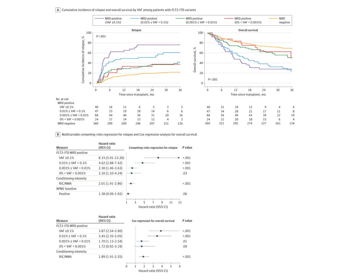 Study from @NIH @CIBMTR has shown that 1 in 3 adults in first clinical remission from FLT3-ITD acute myeloid leukemia had persistent FLT3-ITD detectable in blood prior to allogeneic transplant, associated with higher post-transplant relapse and death. ja.ma/3Ul4hzn