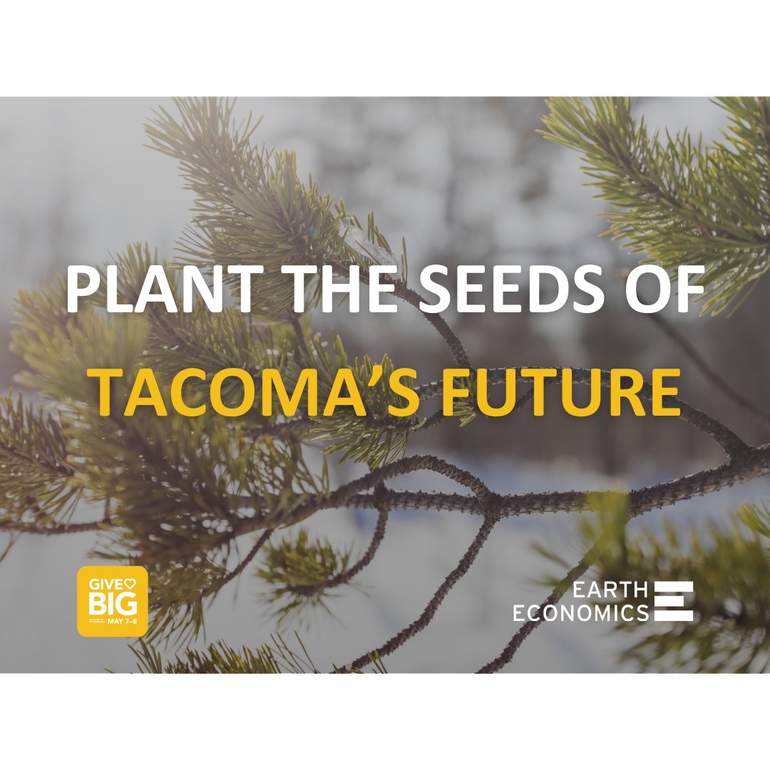 Our goal is to raise $20K to help the Tacoma Tree Foundation assess the economic and social benefits of their tree planting efforts. #ResilientCommunities 

This will inspire more investment to continue greening Tacoma. #GiveBIG2024

ow.ly/974M50RkxSk