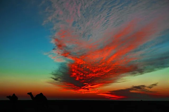 As the sun sets over the Mauritania desert with a fiery red display, two camels silhouetted below seem to transport pyramids across the level expanse.