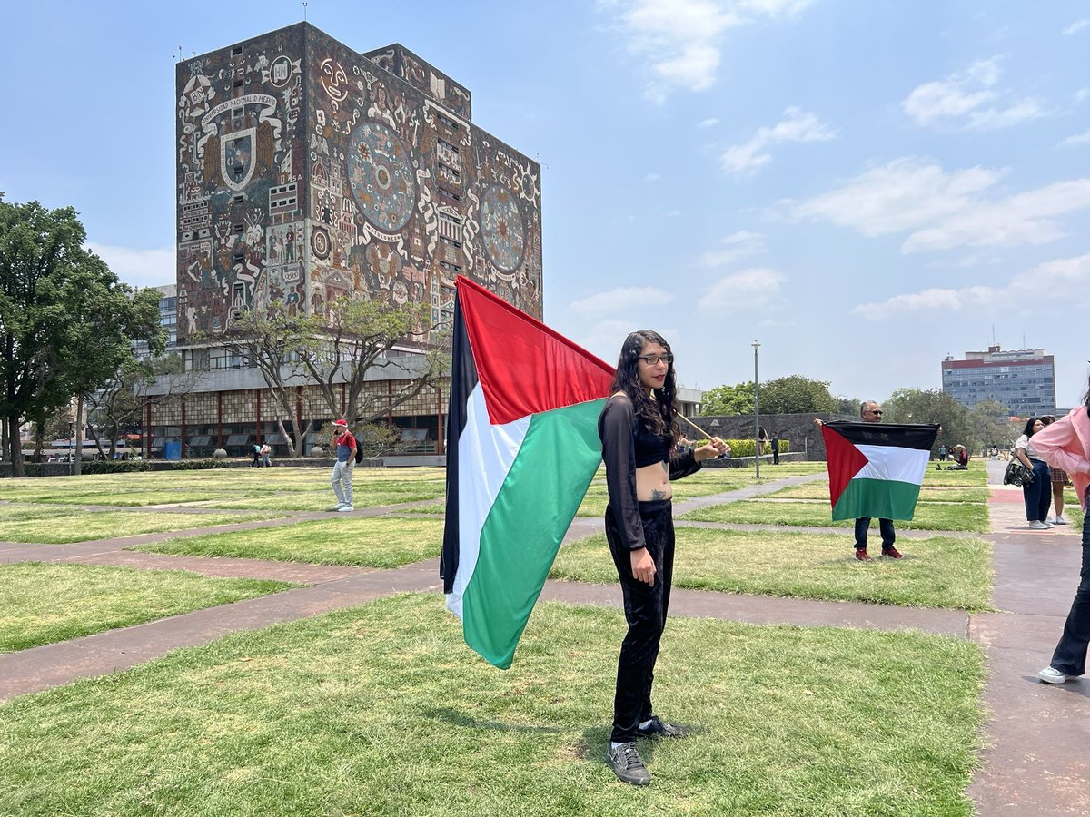 No amigue.

No eres pro Palestina ni antisistema, tampoco eres anti patriarcado ni amlover.

Solo estás buscando desesperadamente a tu madre o a tu padre ausentes. ☝️😌