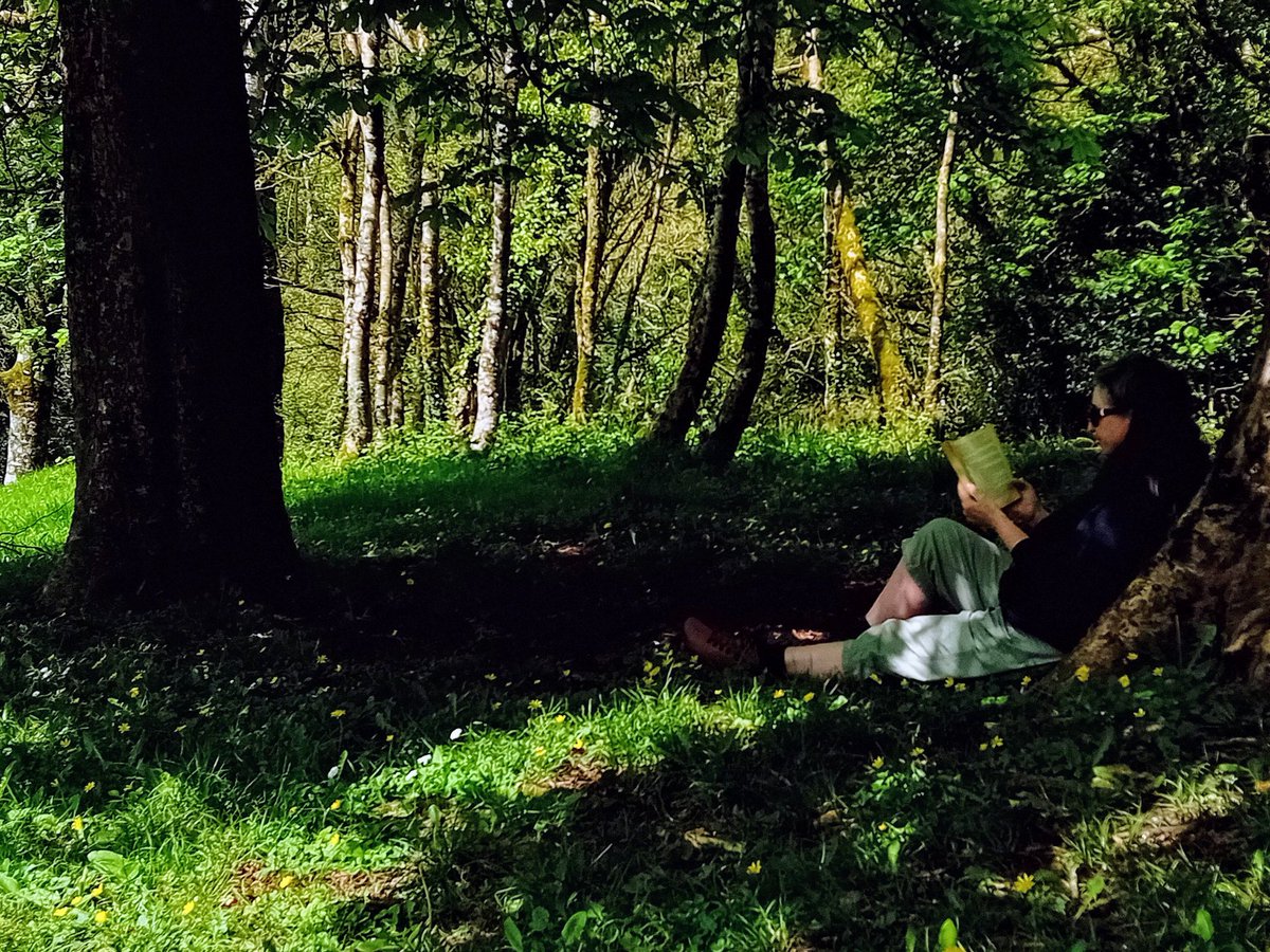 Someone is sitting in the shade of a tree because someone planted it a long time ago. #trees #woods #Forests