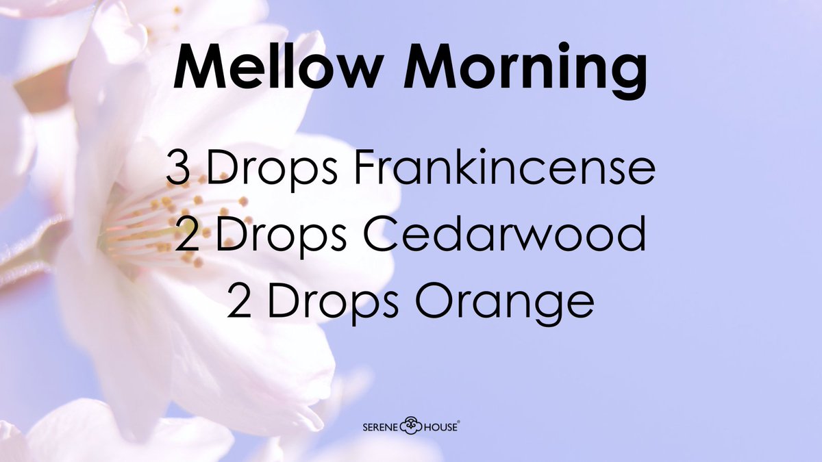 It's a beautiful morning.

#serenehouseusa
#serenehouse
#serenehouseoils
#essentialoil
#essentialoils
#essentialoilblends
#essentialoilrecipes
#mellowmorning
#frankincense
#cedarwood
#orange
#essentialoils101
#essentialoileducation
#spring
#springscents