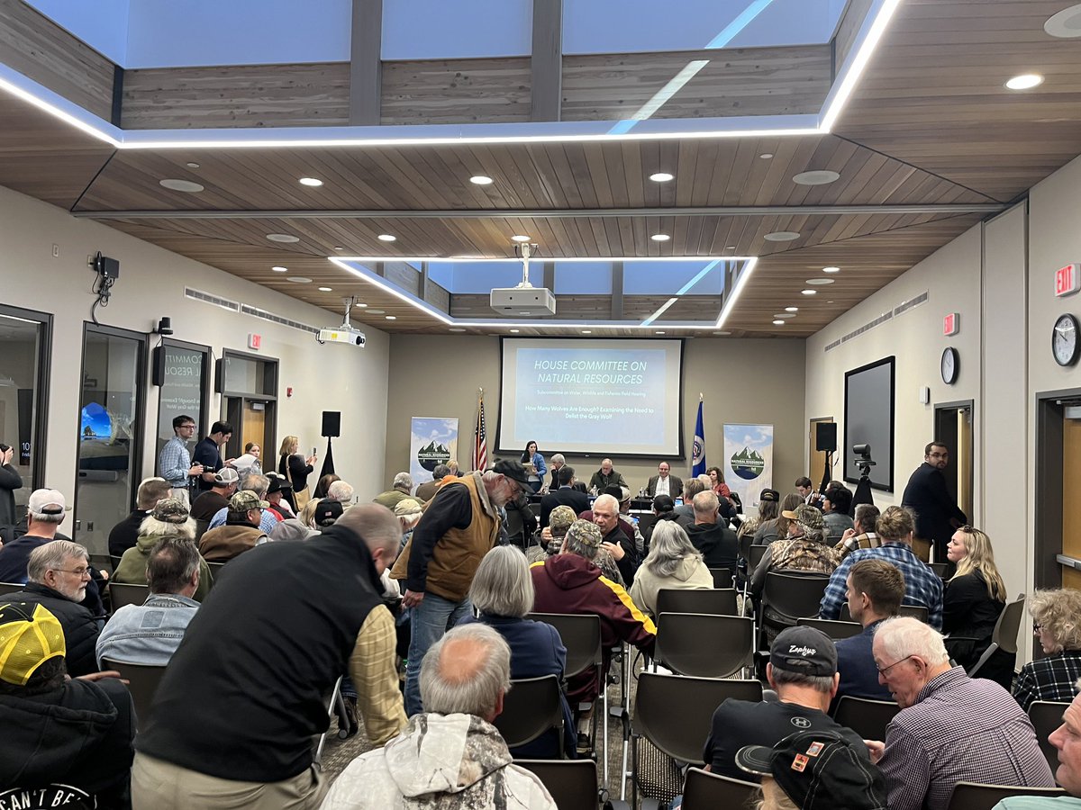 Great turnout in Sandstone Minnesota for our subcommittee hearing on the need to delist the gray wolf from the Endangered Species Act. Ranchers, farmers, and outdoorsmen alike are fed up with the way the federal government has handled the gray wolf population surge and are ready…