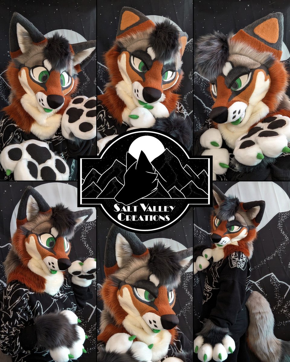 New coyote premade is finished and up for auction! 🔗⬇️