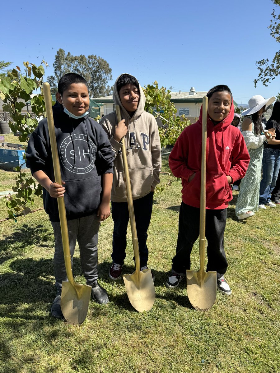 Exciting day at Mary Chapa Elementary as we planted our very own #MoonTree 🌳🌕! Thanks to @NASA's Apollo missions, this tree has a unique connection to space exploration. Can't wait for our students to learn and grow with it! 🚀📚 @GUSDEdServices @aqgillespie @LCortezGUSD