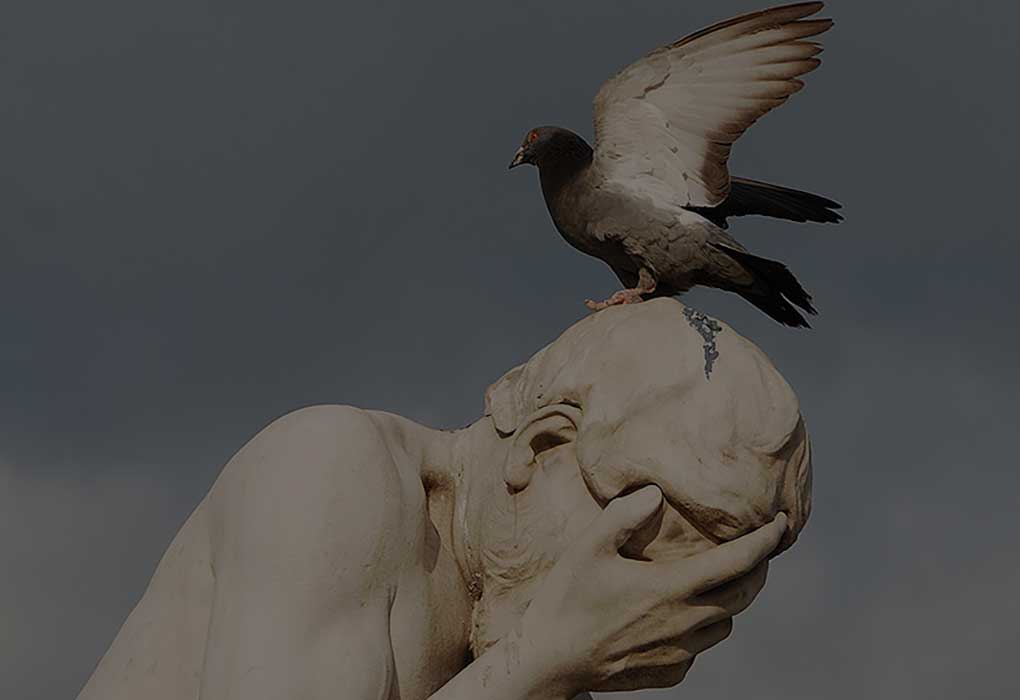 GoldshotExt's tweet image. Tired of pesky pigeons taking over your space? We understand the frustration and can help! Our humane pigeon control solutions will ensure these feathered foes are no longer a nuisance. Visit goldshotexterminating.net

 #BirdControl #HumaneSolutions #PigeonControl