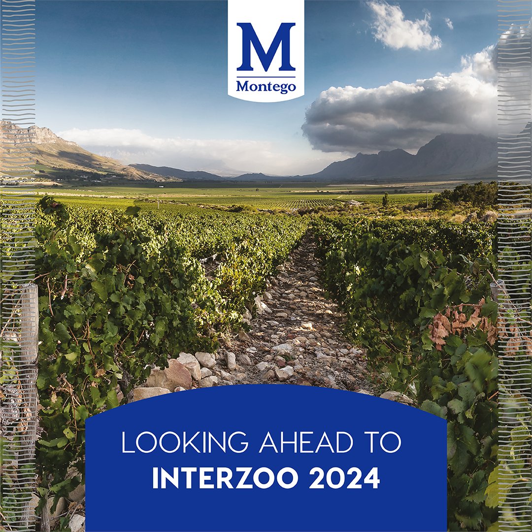 As Africa’s largest independent pet food manufacturer, Montego is proud to be attending Interzoo again. With a diverse portfolio of 8 pet nutrition brands for dogs & cats, & our expanding presence in the US market, we’re set to make an impression. #BetterEveryDay #Interzoo2024