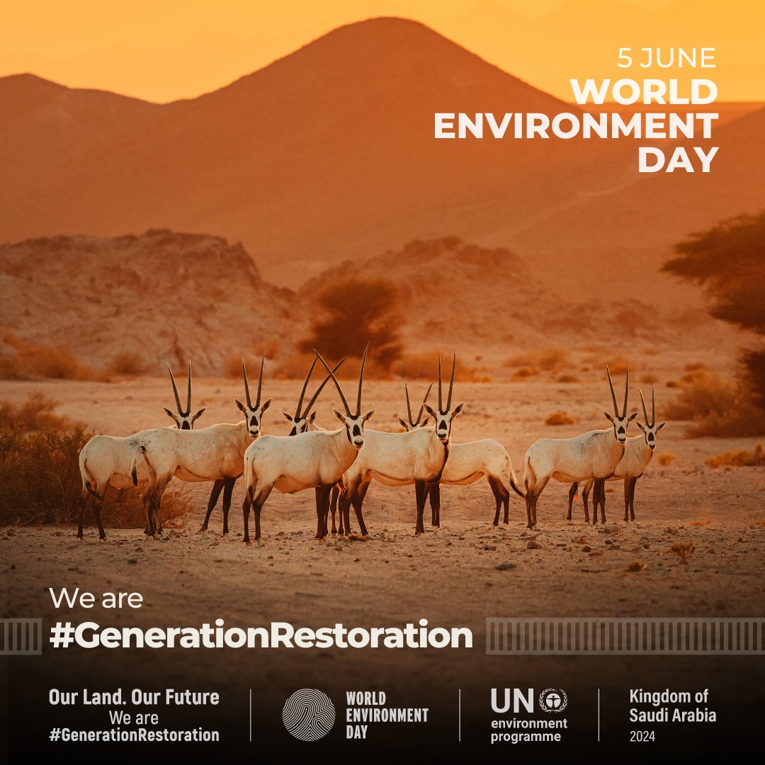 We cannot turn back time, but we can grow forests, revive water sources, and bring back soils. We are the generation that can make peace with land. - @UNEP 
#WorldEnvironmentDay