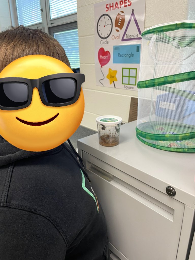 Caterpillar observations 🐛