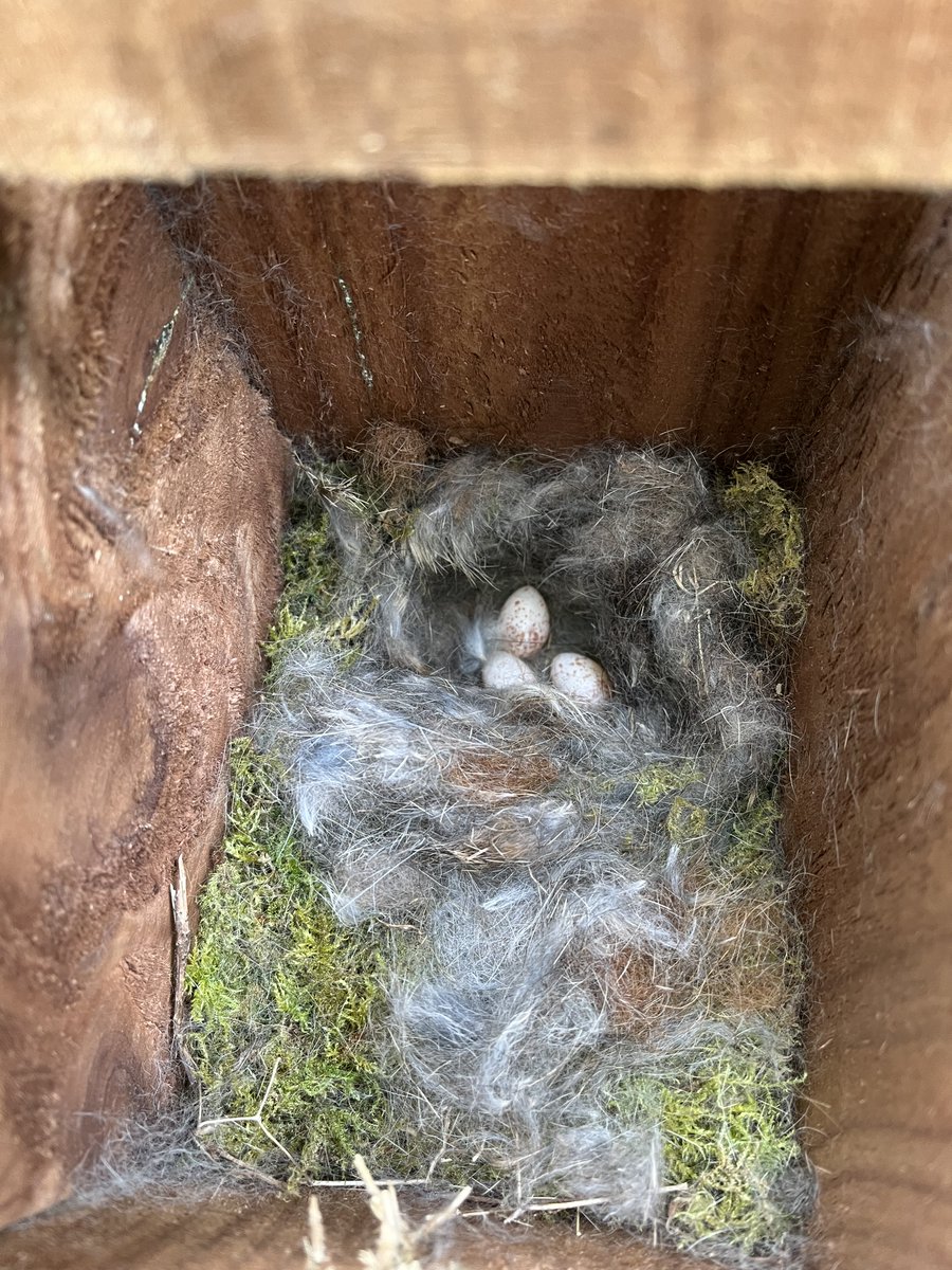 Today we had another successful 'Our Coast Our Wildlife' Nature Survey at White Lea farm with Jason and the team. We recorded 42 species during our walk and then carried out some checks on the bird boxes. Check our events pages for future surveys🦋#volunteering #wildlife #survey