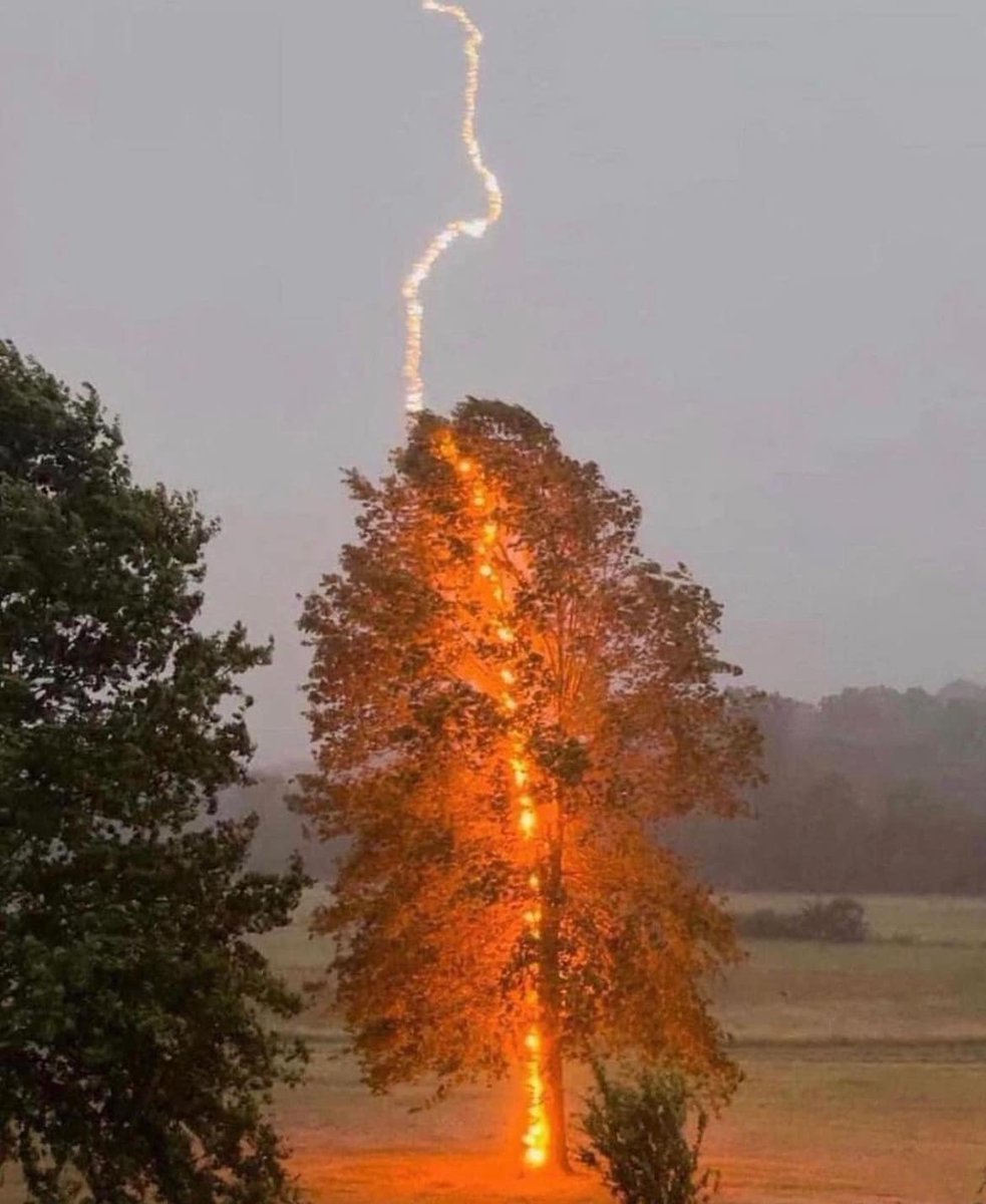 ScienceNatureW2's tweet image. One in a Million Moment 🌩️