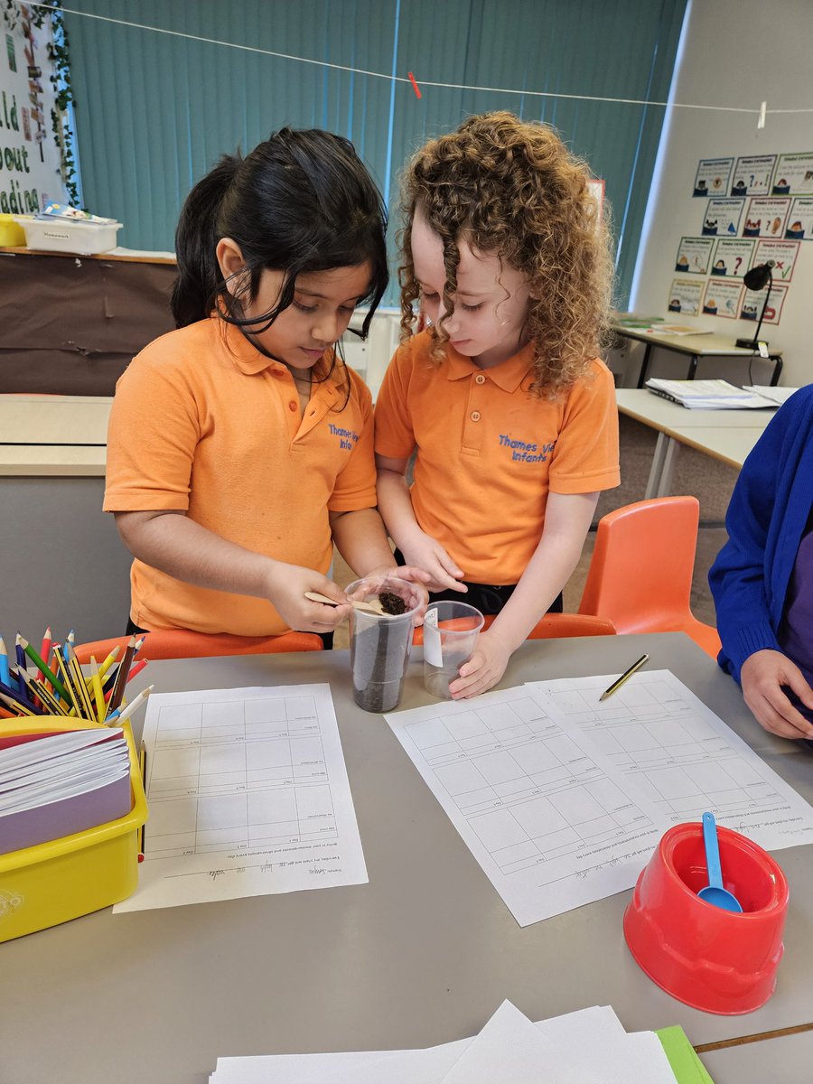 Chloe Yarwood (@chloe_tvi) on Twitter photo This term in Science we're learning all about plants🌱🌿. Today we carried out an experiment to see which conditions help plants grow the best.
<a href="/TVInfants/">Thames View Infants</a> <a href="/AdamDobsonTVI/">Adam Dobson</a> <a href="/Amy_TVI/">Amy Windsor</a> This term in Science we're learning all about plants🌱🌿. Today we carried out an experiment to see which conditions help plants grow the best.
<a href="/TVInfants/">Thames View Infants</a> <a href="/AdamDobsonTVI/">Adam Dobson</a> <a href="/Amy_TVI/">Amy Windsor</a>