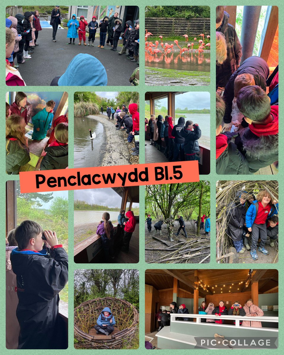 Diwrnod o fwynhau ym Mhenclacwydd. Diolch I @WWTLlanelli am y croeso! A very enjoyable day at Penclacwydd. Thanks for having us 🦆 #pyt #blw5 #penclacwydd #hinsawdd #gwyddathech #plastic #ClimateCrisis