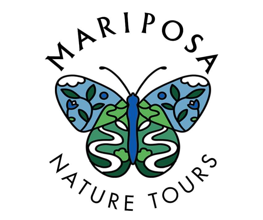 Hey everyone! I still have places available for my next 'Macro photography' workshop if you would like joining me? 📷🐛🐞🦗🕷🦟🪳👇🏻 mariposanature.com/tours/wildlife… @Mariposa_Nature #macro #macrophotography #workshop #tours
