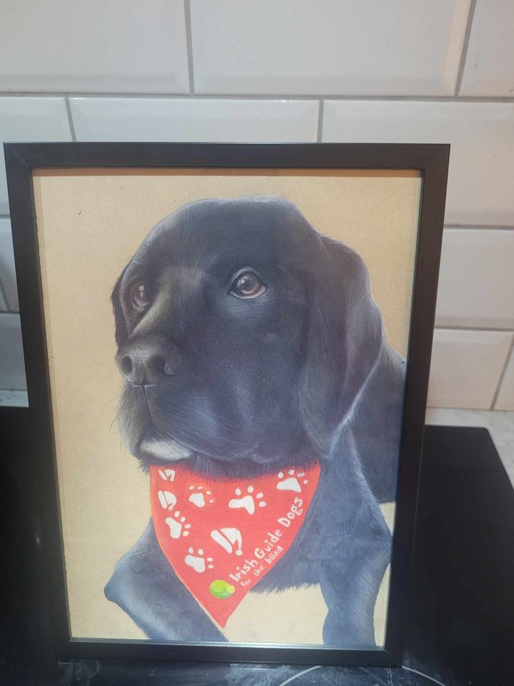 Look at this beautiful painting of Assistance Dog Ivan. 🐕 This was painted by a very talented artist, 16-year-old
Joshua Dunlea. 🎨

Style up your pooch like Ivan with our PAWsome bandana!

shop.guidedogs.ie/products/banda…

#Art #GuideDogs #ChangingLives