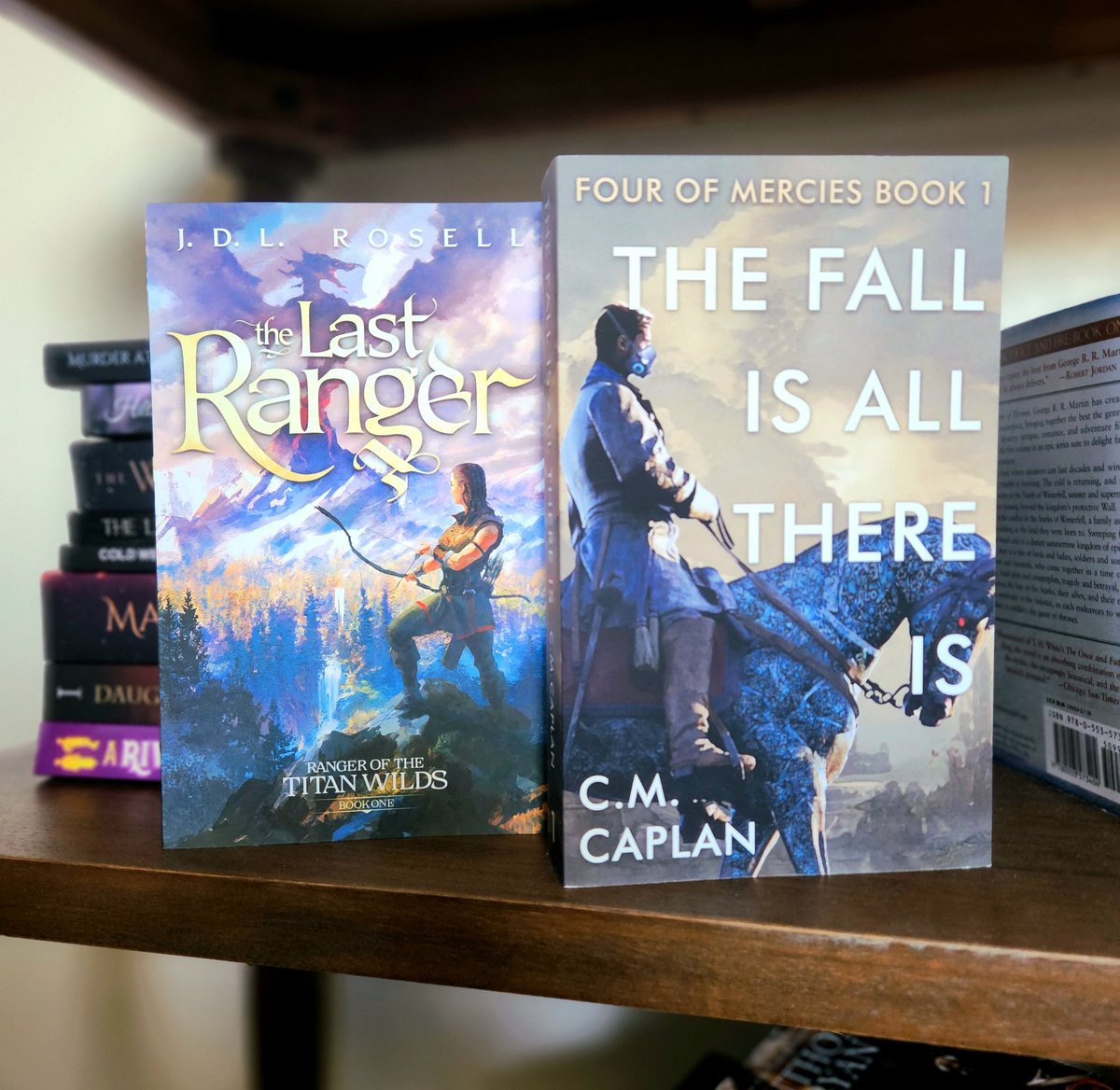 It may not be first place, but I'm still more than pleased at The Last Ranger tying with @cmcaplanwrites for third place in #SPFBO 9! I just started The Fall Is All There Is, but I'm already enjoying this irreverent and imaginative science fantasy mashup. Give it a read!