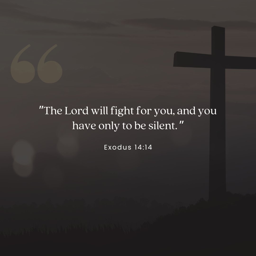 'The Lord will fight for you, and you have only to be silent.'
-Exodus 14:14

#ScriptureSunday #CantonAcademy