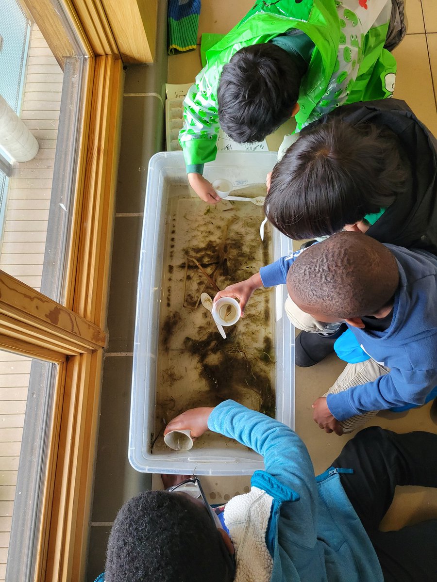 Second grade had a great and rainy morning at Indian Springs Metropark! #NoviPride #NWLeads