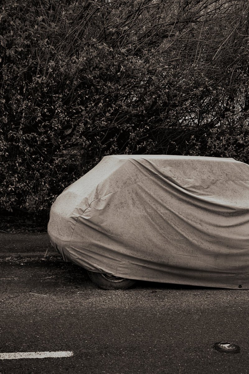 Millennium Images tweet media