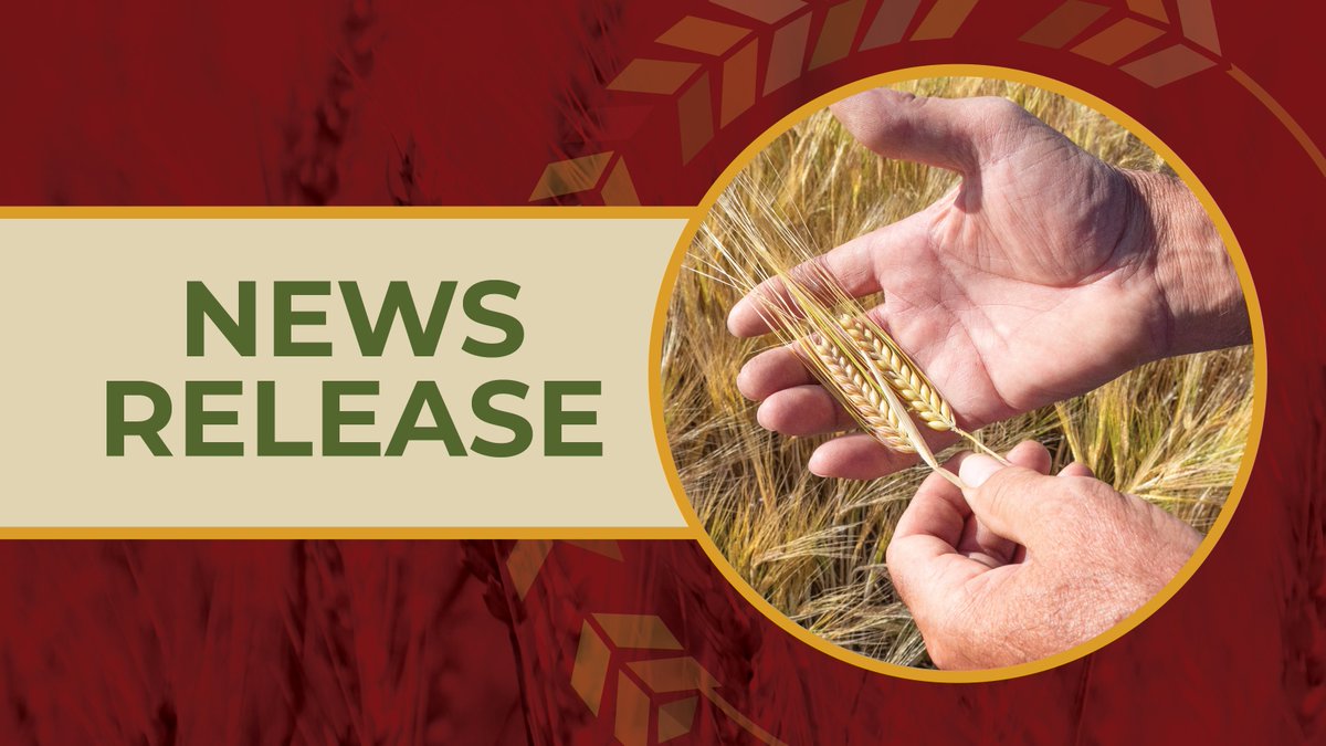 Today marks a significant milestone for Canada's agricultural sector as the <a href="/InspectionCan/">Canadian Food Inspection Agency</a> unveils its latest livestock feed guidance, completing the trio of policy updates crucial for clarifying #Canada's requirements for gene-edited crops. Read our full statement here: