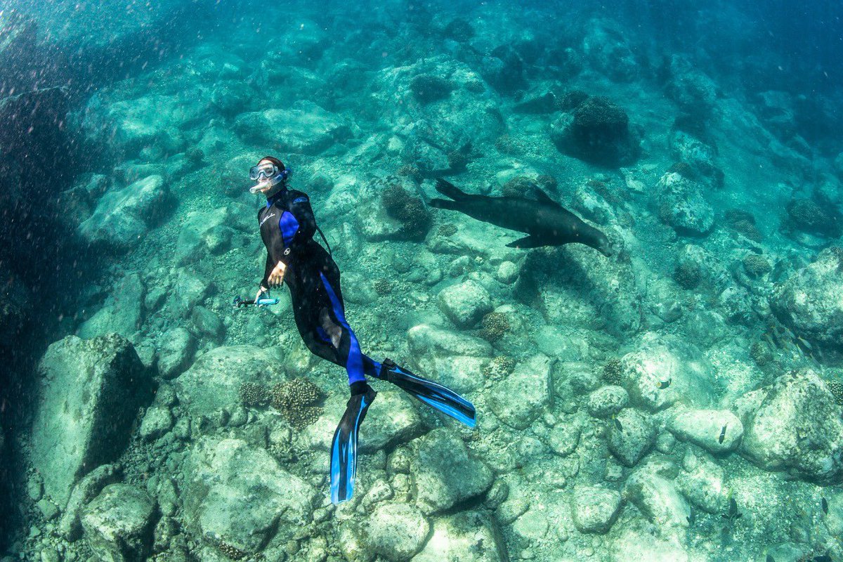 ¡Feliz Aniversario, #LaPaz! 🎉 Celebramos un año más de la fundación de la capital de #BajaCaliforniaSur. ☀️🌊 Ciudad caracterizada por sus tranquilas aguas color turquesa y su rica vida marina. 🩵🐳 🥳 ¡Visita este destino rodeado de las playas más bonitas de #México! 🇲🇽🌴