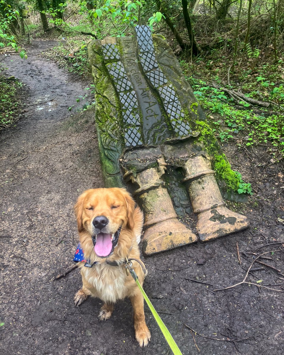 Finlay #RedMoonshine learning about The 1968 Clean Air Act out on his walk along #DudleyNo2Canal. #BoatsThatTweet #KeepCanalsAlive #LifesBetterByWater #FundBritainsWaterways #TowpathWalks #GoldenRetrievers #DogWalking #Dudley #BCN #BCNS redmoonshine.com