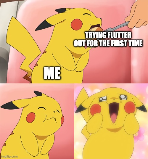 Wholesome Flutter meme: Day #1 Do you even remember the first time you tried out Flutter? What was your first thought? Share with us 🙌 #flutterdev #wholesome