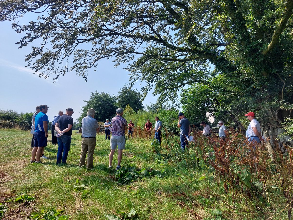 Our May newsletter highlights 🐝Festival of Farmland Biodiversity 🐝New free resource on the Forester moth 🐝What's really in your wildflower seed mix? 🐝Helping pollinators in May Read more here tinyurl.com/2yf47akx Sign up here bit.ly/3DXaolY (📷 Ruth Wilson)
