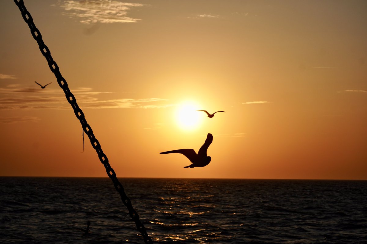 #Noordzee #kust #visserij #beleving  
Goedenavond, het regent hier dus maar een paar foto’s van gisteravond 
Een fijne avond en nacht toegewenst en gezond weer op 🍀🍀