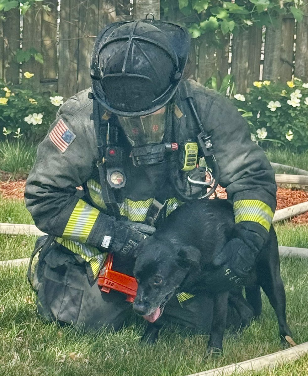 Firefighter from Rescue 1 emerges from burning home on Edson Pl. NE with dog he carried to safety from the 3rd floor. 2 adults and this dog are displaced and the @RedCrossNCGC has been requested to assist. #DCsBravest