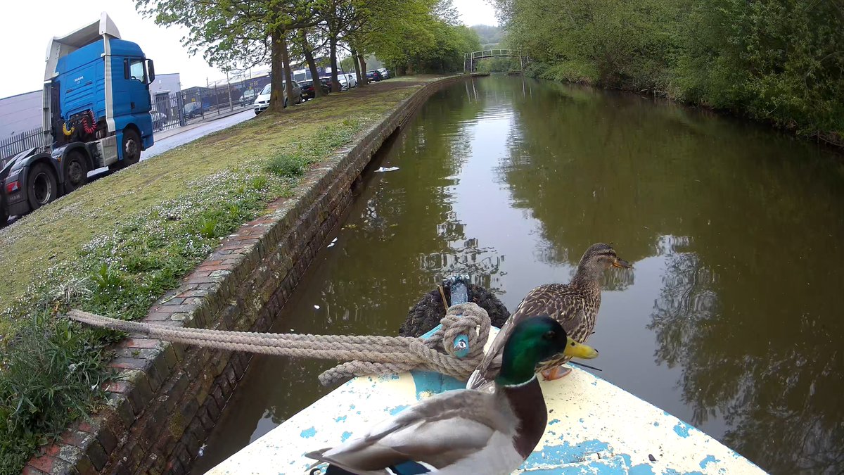 We appear to be getting two regular visitors at the moment... #BoatsThatTweet #KeepCanalsAlive #LifesBetterByWater #FundBritainsWaterways