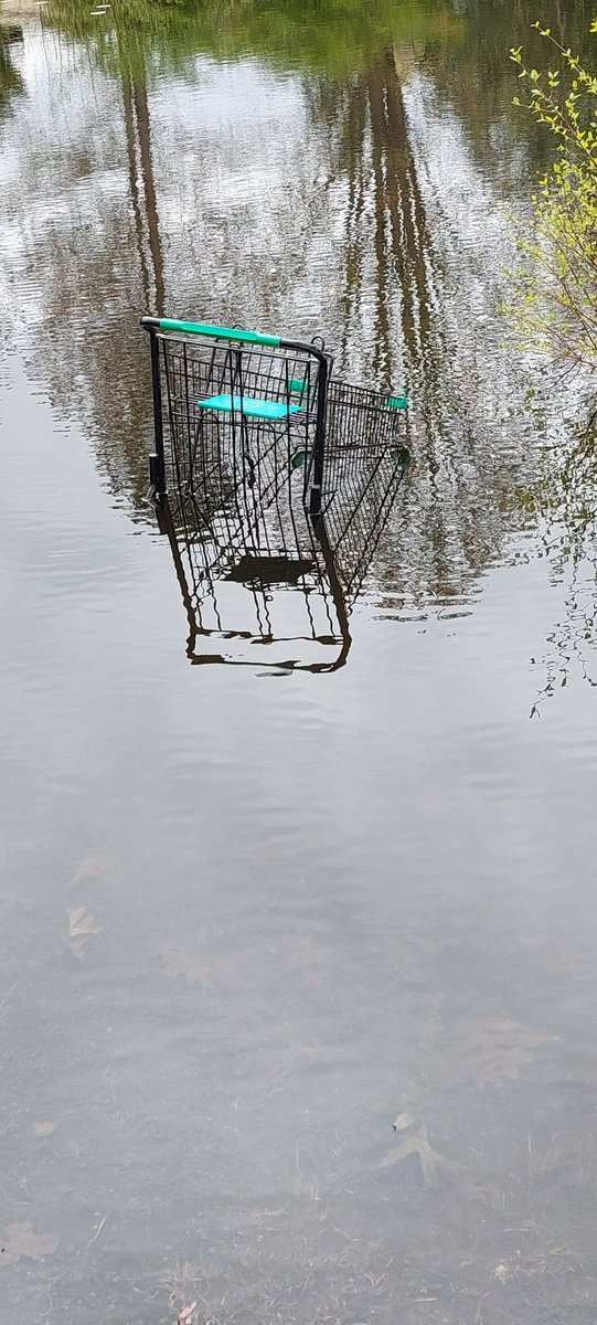 Hey @DollarTree I found one of your shopping carts in the pond at Globe Park Woonsocket
