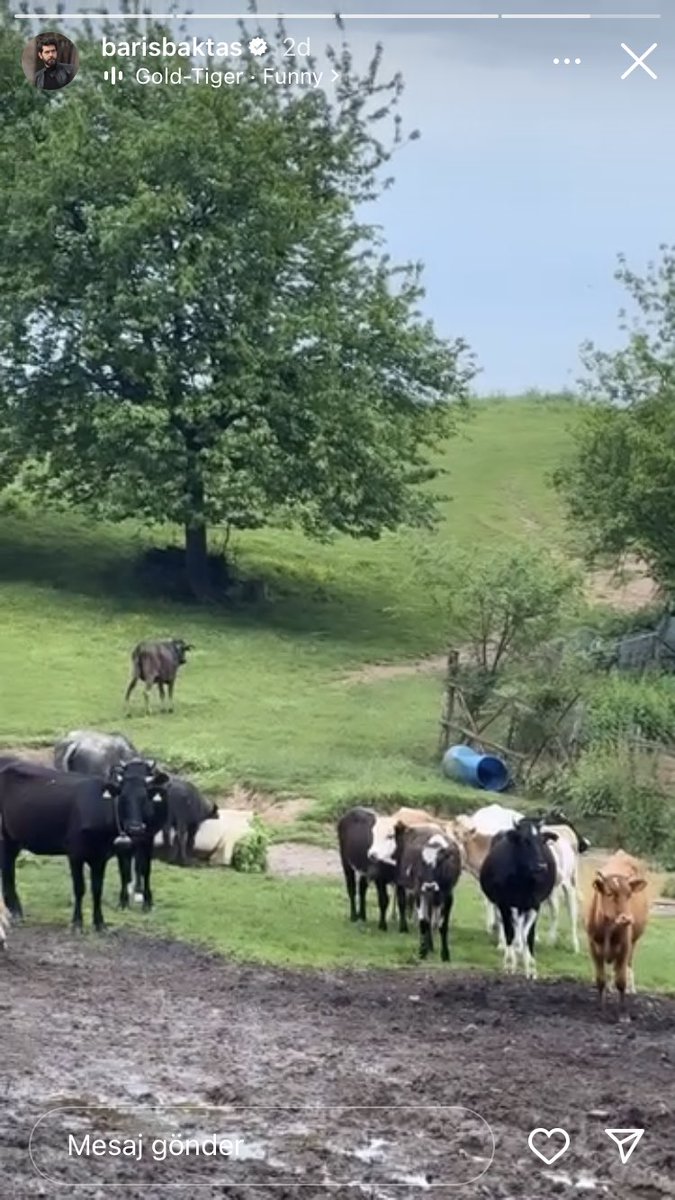 Yağmur story atıyor peşine hemen Barış da atıyor ikon adamım 😂😂

YağBar’ım keşke bi selfie ile taçlandırsanız bu kovalamacayı özlendiniz.. 😌🥲

#YağmurYüksel #BarışBaktaş #YağBar