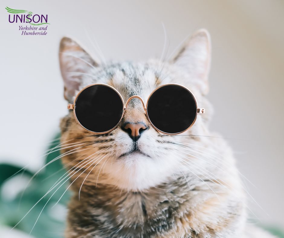 The weekend is here, it's a Bank Holiday on Monday, we're feline good! If you're working over the next few days, thank you - and don't forget, you can contact UNISONDirect if you need urgent assistance on 08000 857 857. Purrrrrfect! 😎
