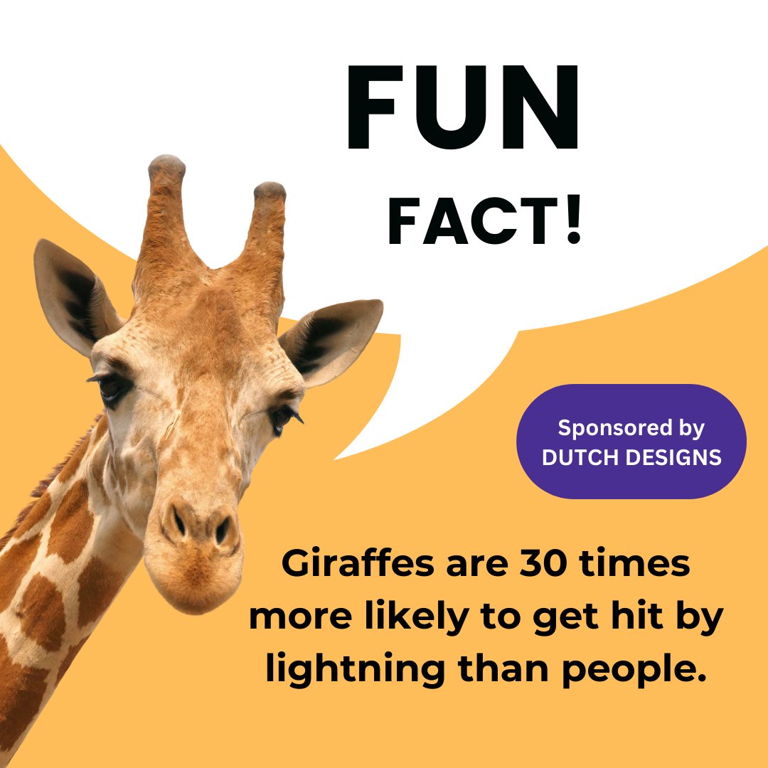 Your Friday fun fact! #dutchdesigns22 #mocfv