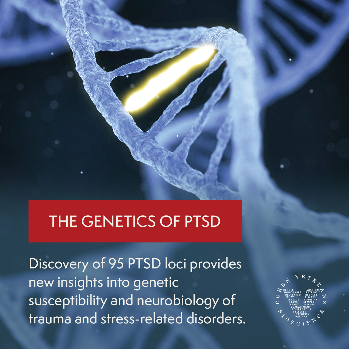 Cohen Veterans Bioscience 🧠 (@cohenbioscience) on Twitter photo The Global PTSD Genetics initiative founded by CVB, <a href="/StanleyCenter/">Stanley Center</a> & <a href="/PGCgenetics/">PGC Consortium</a>, has reached a milestone in researching the genetics of PTSD. Published in <a href="/NatureGenet/">Nature Genetics</a>, this work advances our understanding of PTSD's neurobiological systems. Read more: cohenveteransbioscience.org/news/new-study… The Global PTSD Genetics initiative founded by CVB, <a href="/StanleyCenter/">Stanley Center</a> & <a href="/PGCgenetics/">PGC Consortium</a>, has reached a milestone in researching the genetics of PTSD. Published in <a href="/NatureGenet/">Nature Genetics</a>, this work advances our understanding of PTSD's neurobiological systems. Read more: cohenveteransbioscience.org/news/new-study…