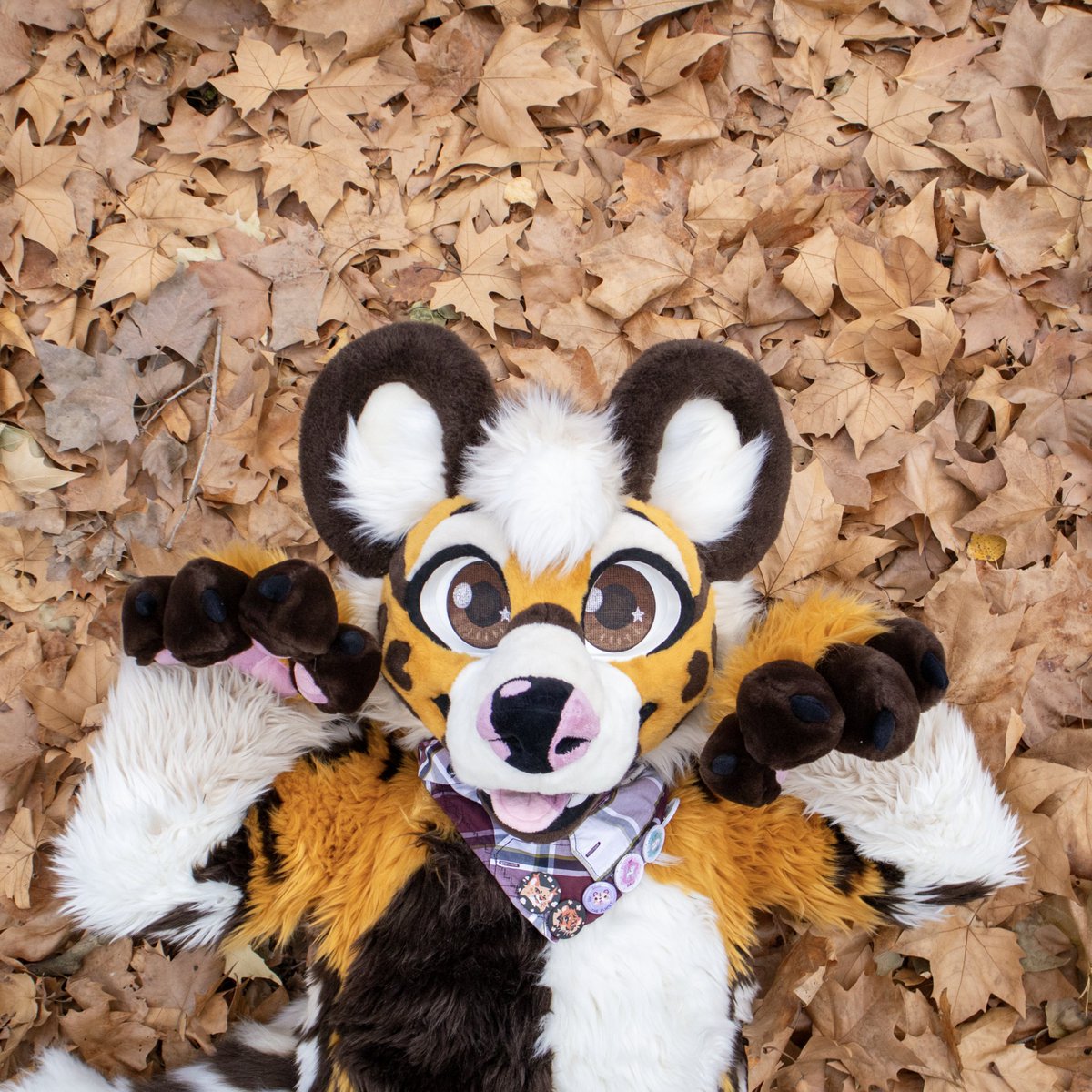 Pets pleaseee 🍁✨
#FursuitFriday

🐾 <a href="/AxomUma/">🌲Luca/Uma🌲🔜 NFC</a> 🪡 <a href="/PyropeCostumes/">✨Pyrope Costumes✨</a>