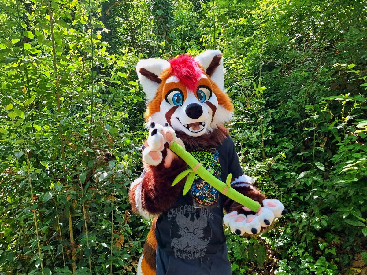 🤎 Lorx 🤍
#fursuit #FursuitFriday