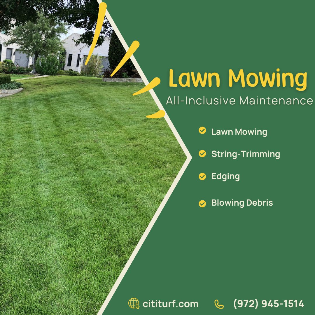 All you need to do to achieve a well-maintained lawn WITHOUT the work is to take advantage of our #lawnmowing service! We'll #mow your grass, string-trim, edge, and blow debris off hard surfaces. 🌬️

Call (972) 945-1514 to sign up!

cititurf.com/lawn-mowing/