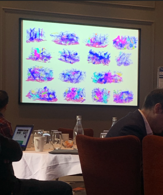 Brilliant 2nd keynote to round off @CRUKresearch Scotland #PancreaticCancer symposium - Laura Wood @JHUPath demonstrating the power of machine learning model 'CODA' to enable 3D modelling of PanINs. Incredible spatial resolution (unlike this photo)...
