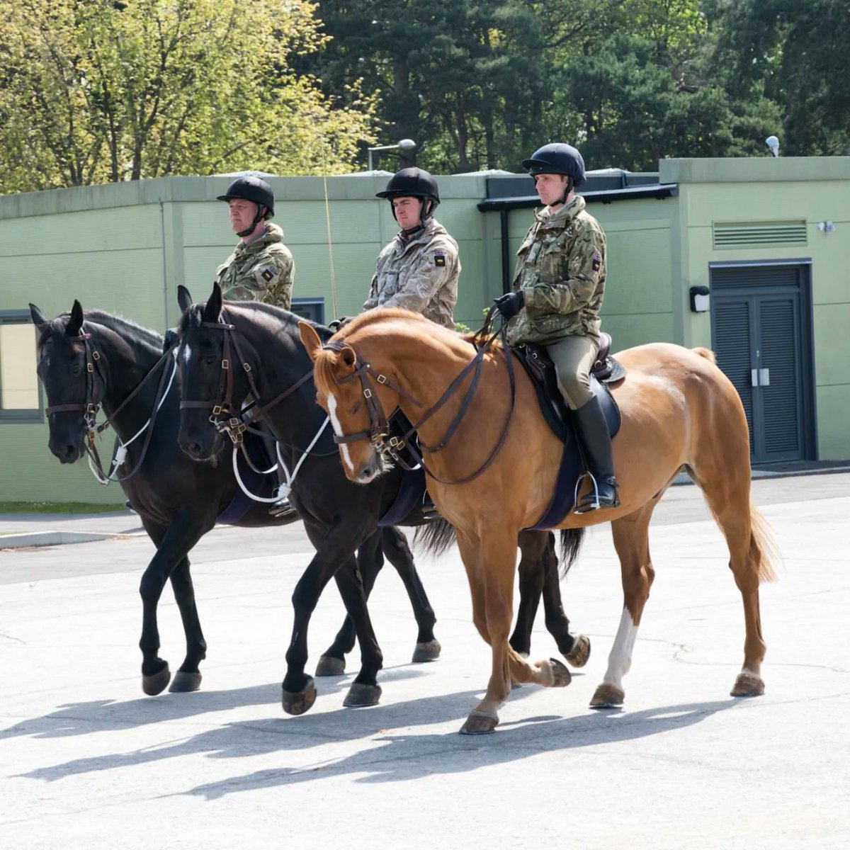 A closer look at the Escort - leading from the front. 

Soon they will be moving up to Horse Guards parade, as the day gets closer

#IrishGuards☘️💂🏻‍♀️ #Britisharmy 
#YouBelongHere #Troopingthecolours