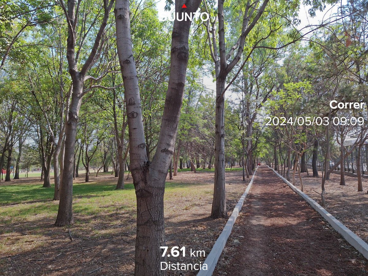 #BuenosDías #FelizViernes
🌞🌳
#Reto2024Kms 
#SumandoKmx #MeEncantaCorrer
#CorrerSana #ComuniRunners
#TemploRunner #YoElegíCorrer 
#CorrerMeHaEnseñado 
#EntreRunners  💯🏃🏽‍♀️🏃‍♀️🏃🏽‍♀️🏃‍♀️