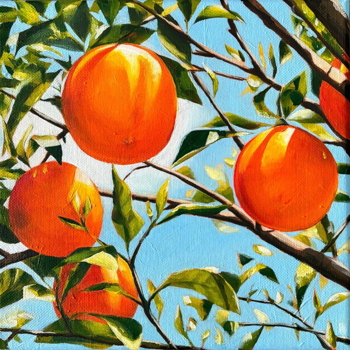 Hanna Yeulakova | Sunny Oranges | oil, canvas | 2024 | 25x25x1.5 cm (w/h/d) | €150,- | For sale onlinegallery.art/en/hanna-yeula… #Art #onlinegallery #painting #artistoftheday #gallery #beautiful #artist #drawing #artwork #arte #painting #artistsoninstagram #artgallery #artoftheday