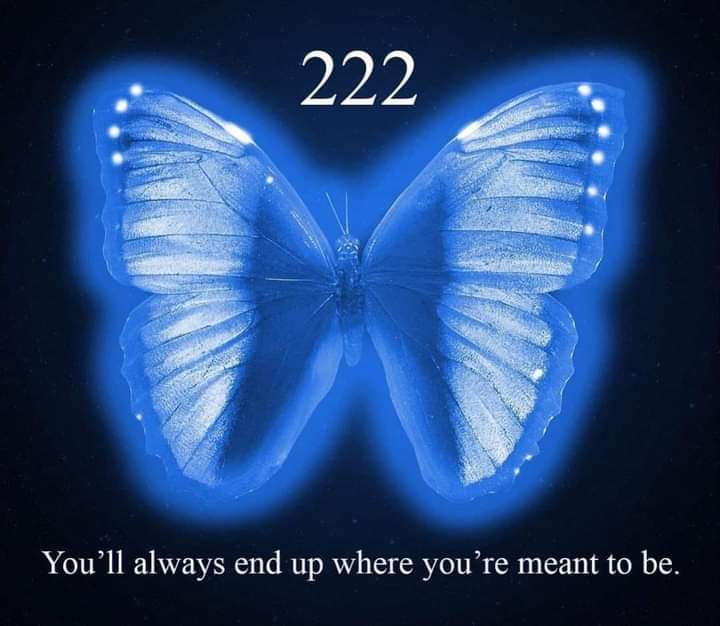 ✨️222✨️

Trust the Divine timing🙏