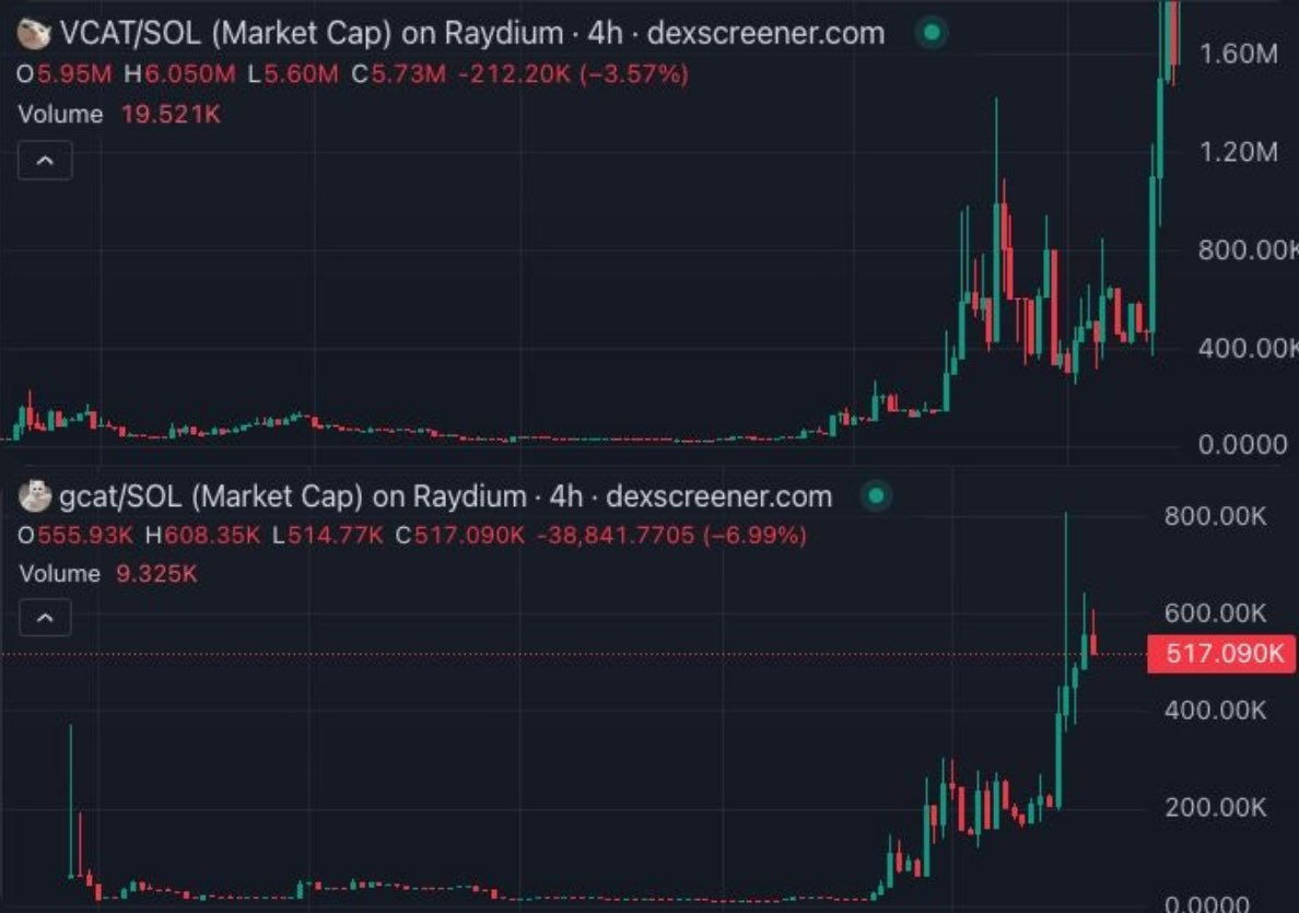 $gcat will be the next $vcat

It already has more volume 😼 

24h volume: $350k for $gcat vs $330k for $vcat

Marketcap: $520k for $gcat vs $5.6M for $vcat

The opportunity is right in front of you. Same behavior, and vcat touched 21M mc after this accumulation

@GroovyCatSolana