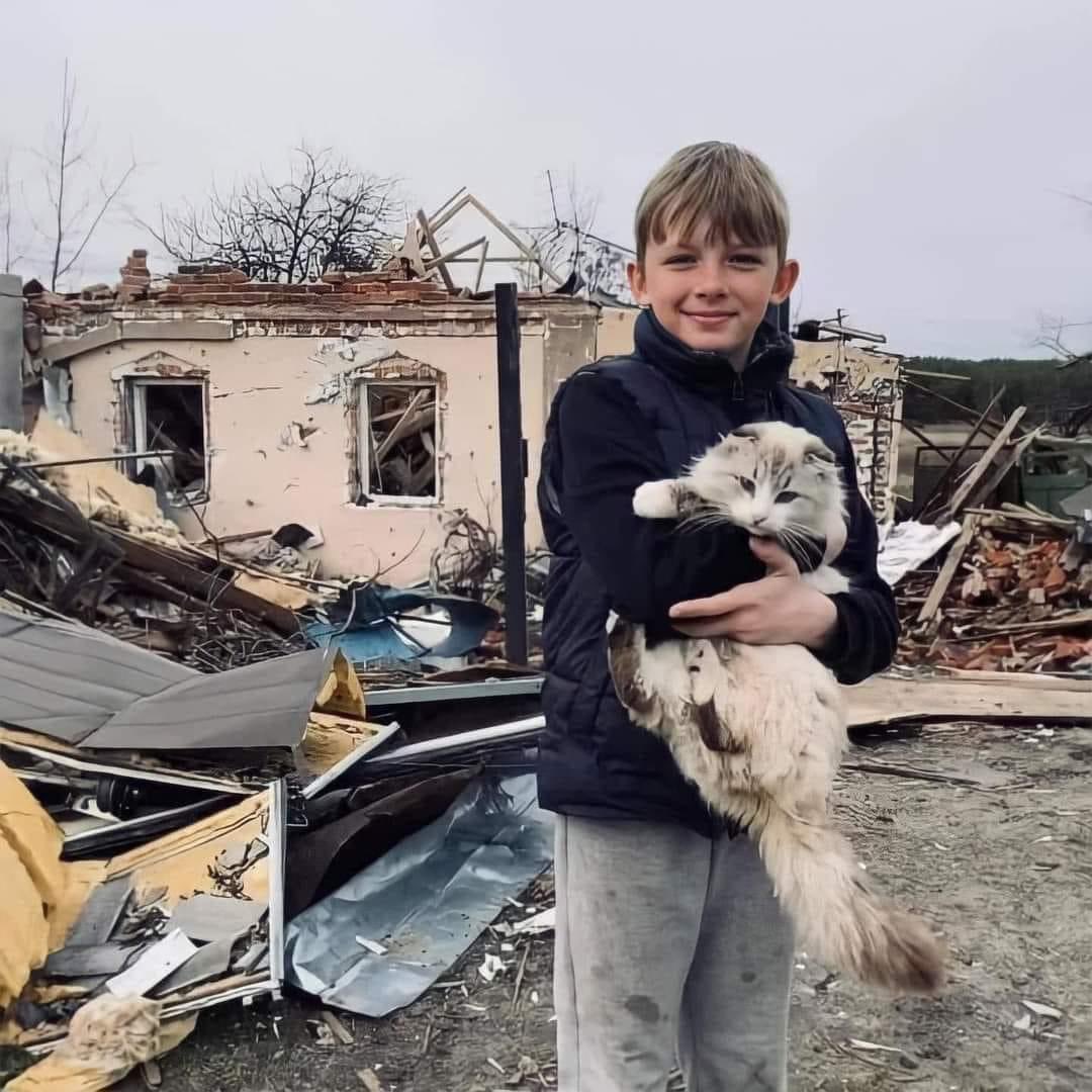 I don't even know how to comment 💔💔💔 'Childhood happiness is when in the ruins of the house you live in, you find your cat alive...' - Oleksandr Lykhodid #Ukraine #UkraineWarNews