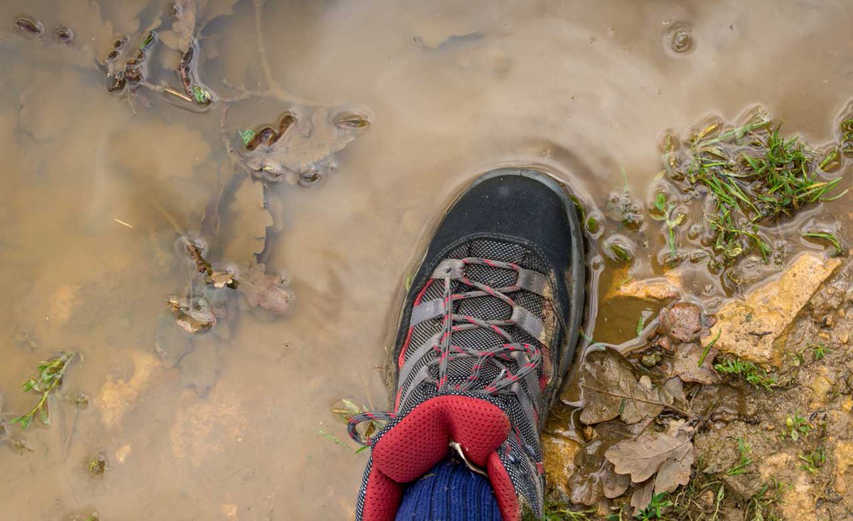 Access champion @maxwell_ayamba has connected hundreds of people from black, Asian and minority ethnic communities with the outdoors. 💚

This #NationalWalkingMonth, discover more about why he loves helping people discover the English countryside.
cpre.org.uk/stories/maxwel…