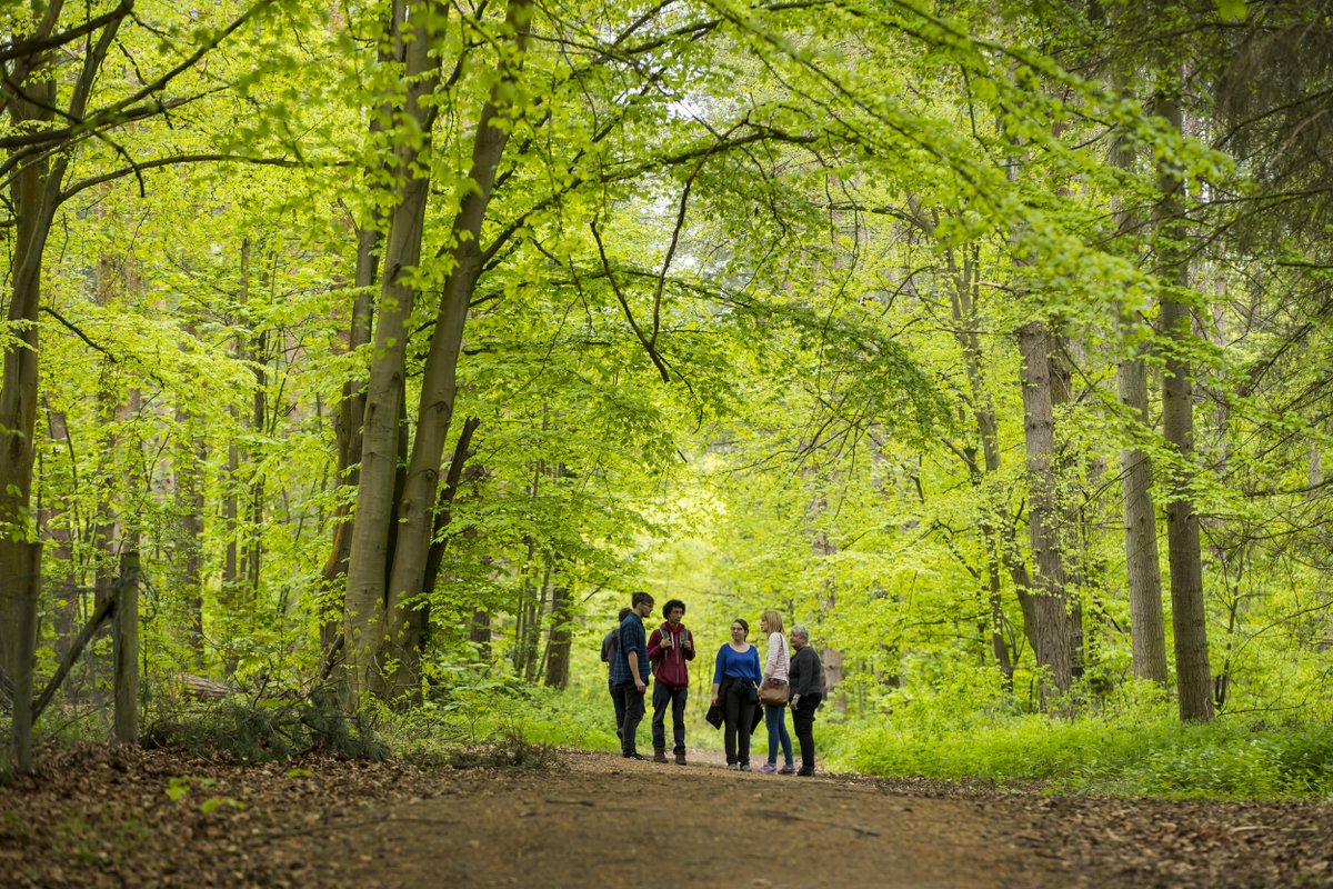 Looking for some inspiration for #NationalWalkingMonth? Whether you like to ramble through woods, wander in parkland or hike across hills, we have a trail for you. bit.ly/3UrIeqx #EveryoneNeedsNature