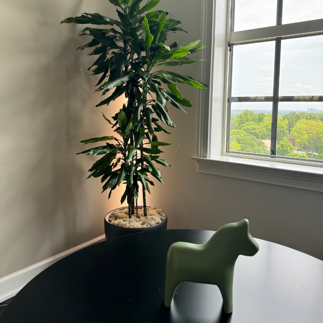 Spring has sprung at the ECPR Atlanta office with these new, crazy-lush interior plant additions to our workspaces. ECPR's biophilic passion runs deep in our veins, always showing through our reputed expertise in the horticulture industry & related sects.

loom.ly/Sdgk_jM