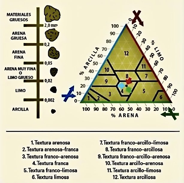 Guía para determinar la textura de un suelo agrícola 🌱🧑‍🌾

La textura es esencial en agronomía porque afecta varios aspectos clave para el crecimiento y rendimiento de los cultivos. Influye en la capacidad de retención y drenaje, la aireación, la disponibilidad de nutrientes.